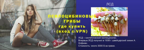 PSILOCYBIN Аркадак