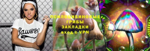амф Арсеньев