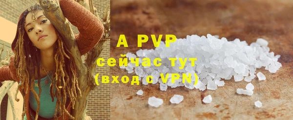 PSILOCYBIN Аркадак