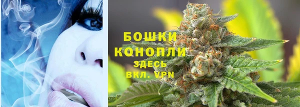 PSILOCYBIN Аркадак