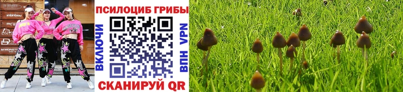 Галлюциногенные грибы Psilocybine cubensis Нязепетровск